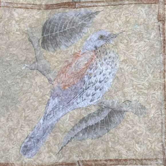 Mantero Collection Audubon Muted Bird Print Silk Scarf 33" Square Made In Italy - Picture 3 of 10